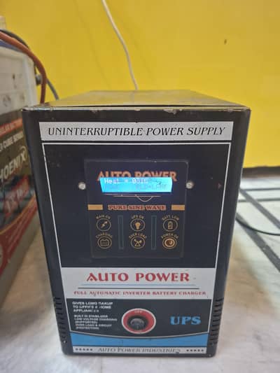 1000W UPS 12V