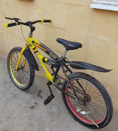 Classic Sports cycle 03140796776