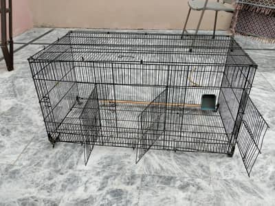 Strong Bird's cage