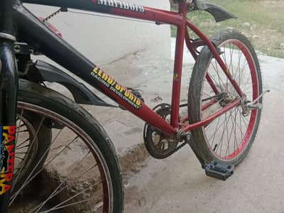 selling my cycle (like new)