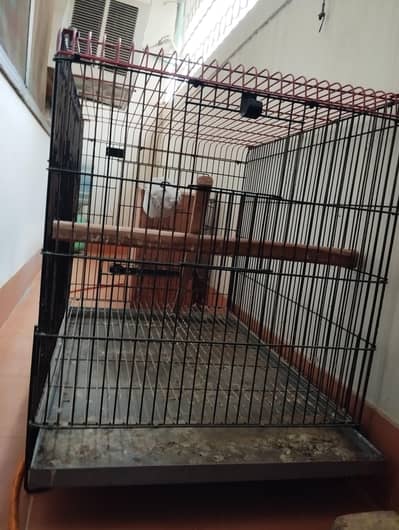 CAGE PINJRA WITH BOX BREEDING, PINJRA FOR BIRDS HENS CHICKENS