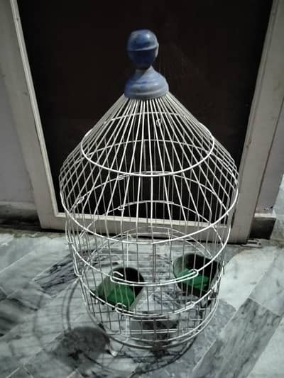 Bird Cage