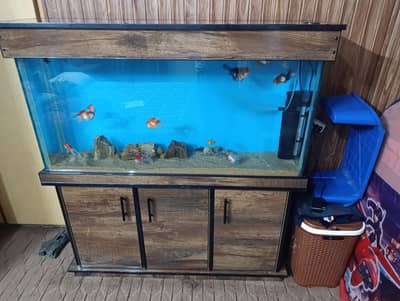 Aquarium with all accessories