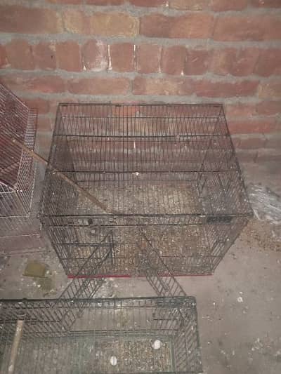 cages for sale
