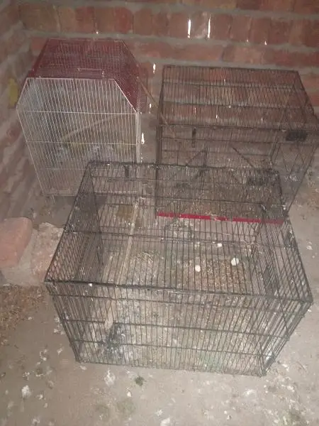 cages for sale — photo 2