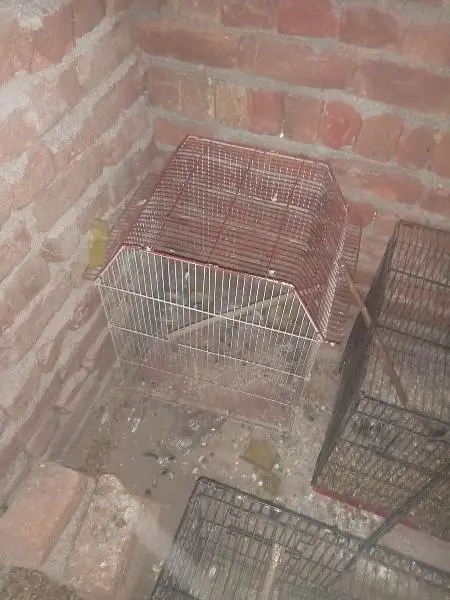 cages for sale — photo 3