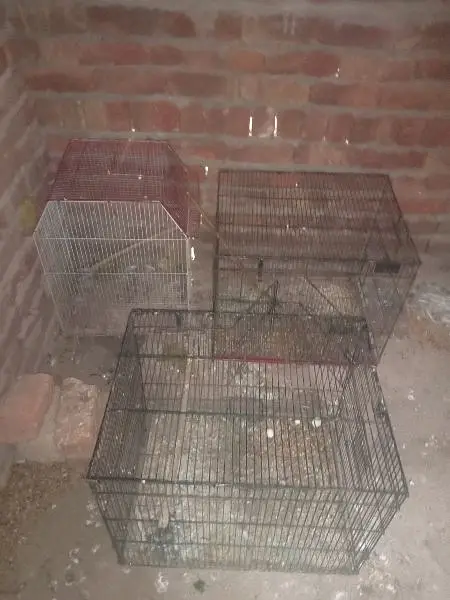 cages for sale — photo 4