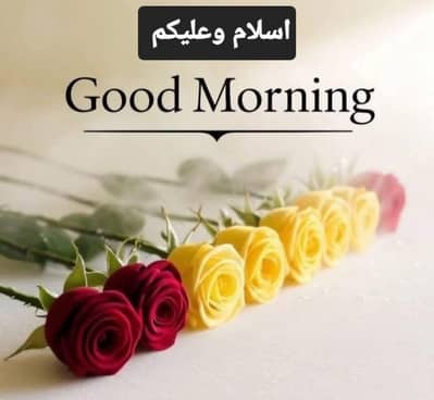 Ad Title: LCD Monitor Required