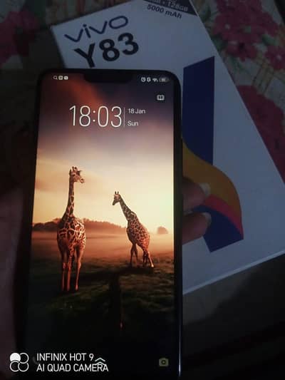 vivo y83 condition 10/10