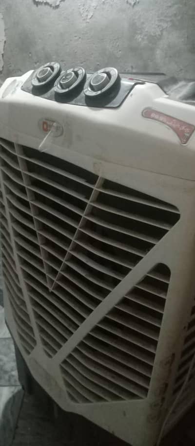 Cooler Fan
