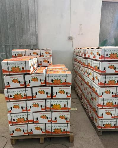 Fresh export kino Malta delivery available in Sargodha free