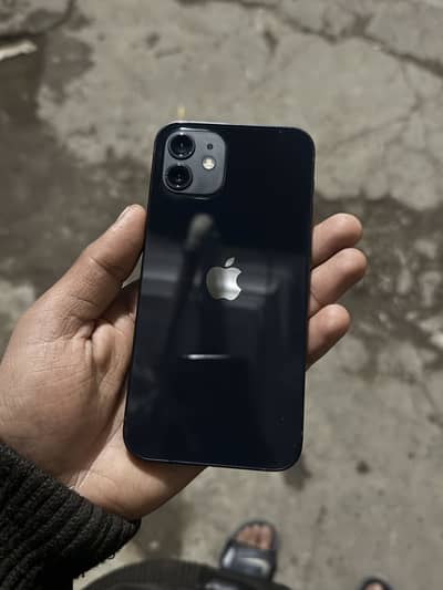 Iphone 12