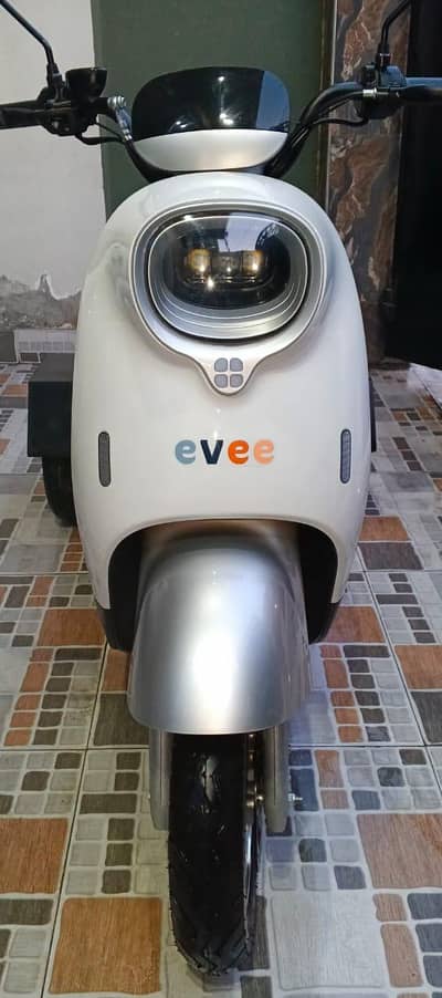 Ever Nisa 10/10 Brand new