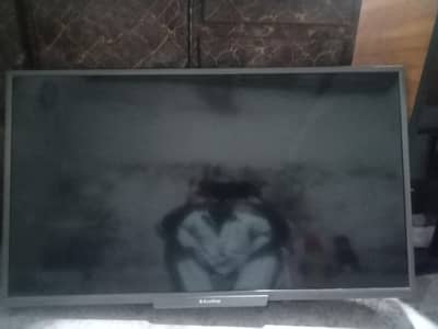 Eco star led 39 inch damage panel