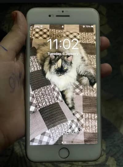 PTA Approved battery change