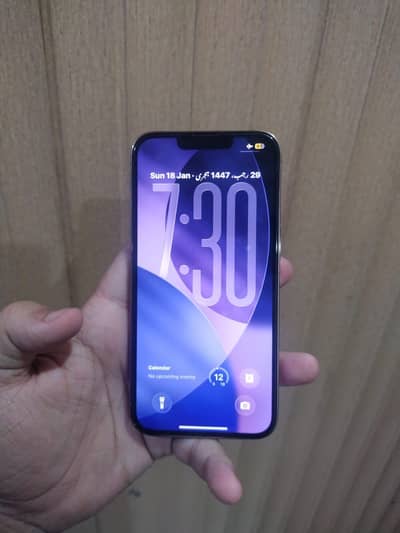 iPhone 13 Pro Non-PTA JV