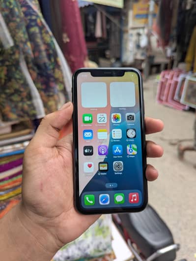 only connect on WhatsApp