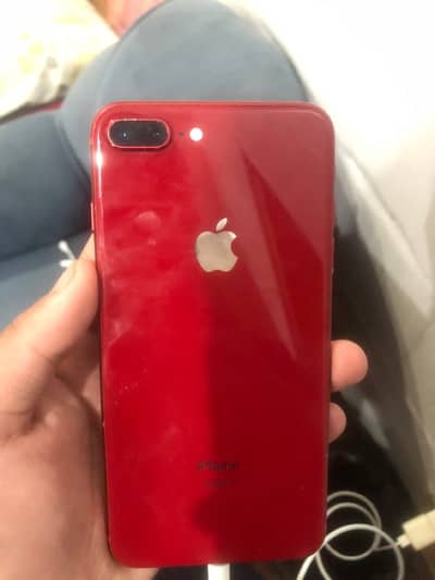 My WhatsApp 03325533214