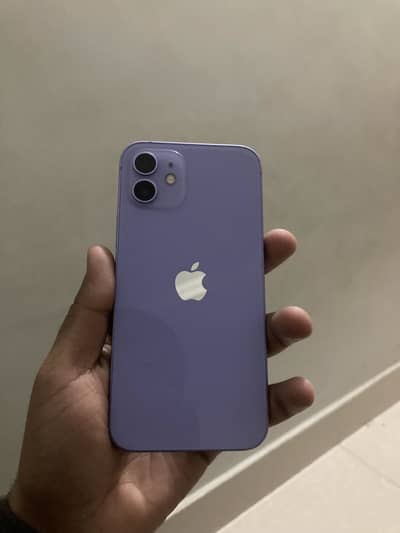 iPhone 12 pta approved