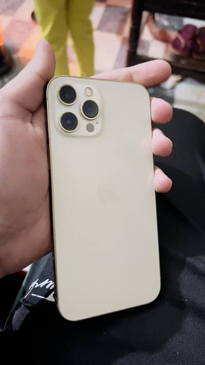 12 pro max dual physical pta waterpack