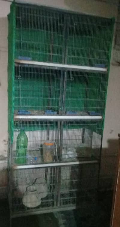 birds cage