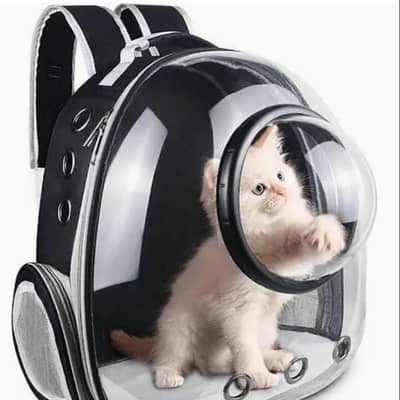 Travel Bag for Cats and kitten