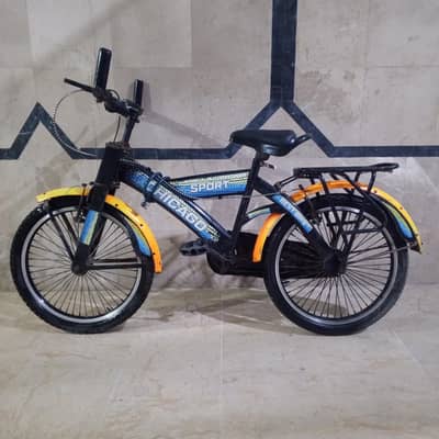 Chicago bicycle 20 size