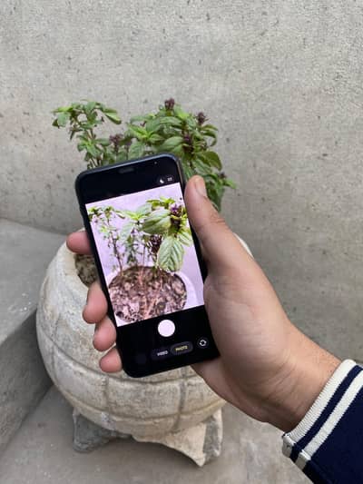 iPhones 11 pro 256 gb non pta