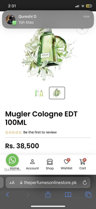 Mugler colong