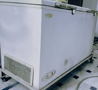 waves dual door  freezer