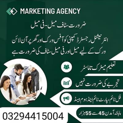 Hiring males and females for office and online work