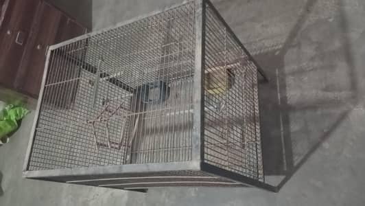 Birds Cage
