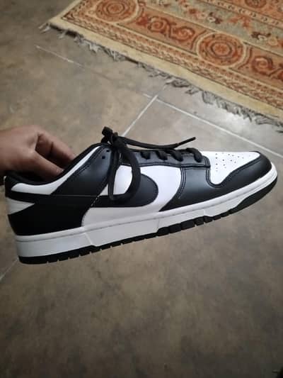 Nike Brand new  Dunk low retro