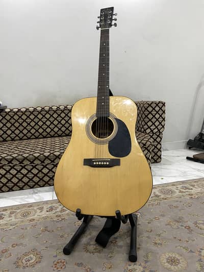 Acoustic Guitar
