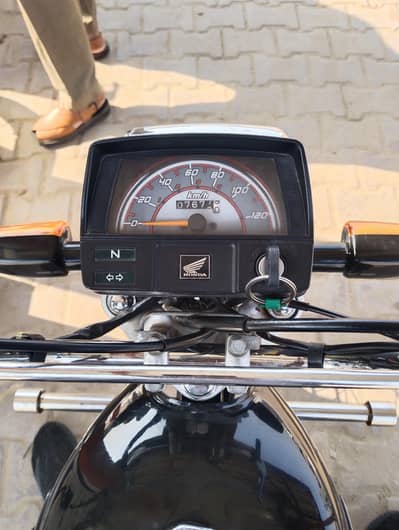 cd black colour 2024/2025