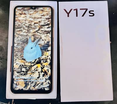 Vivo y17s