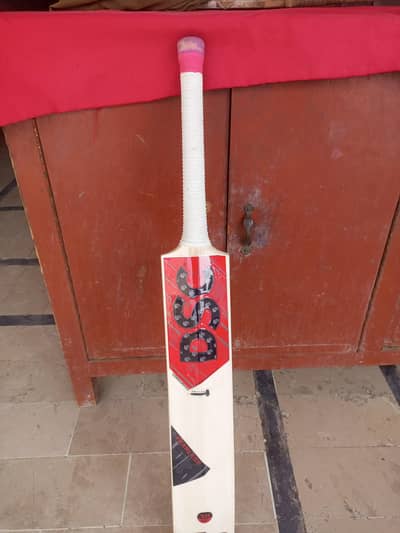 Hard ball cricket  bad