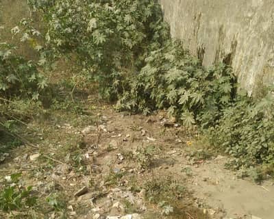 Residential Plot Of 35 Marla For Sale In Sarfaraz Rafiqui Road