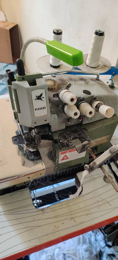 L 32, singer japani had,