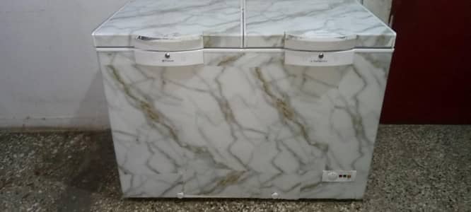 freezer use to 6 month