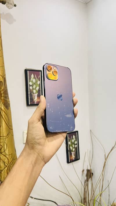 Iphone 12 pro max pta approved