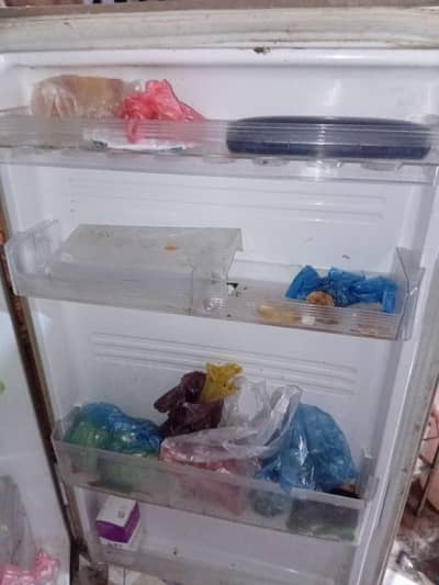 kenwood full size refrigerator