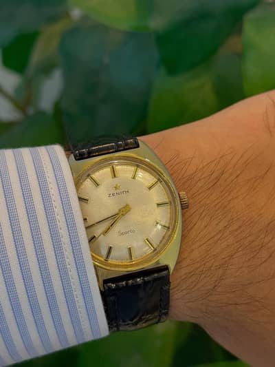Rado,Tudor,Hamilton,Tissot,seiko,Orient,CK,citizen,Waltham,