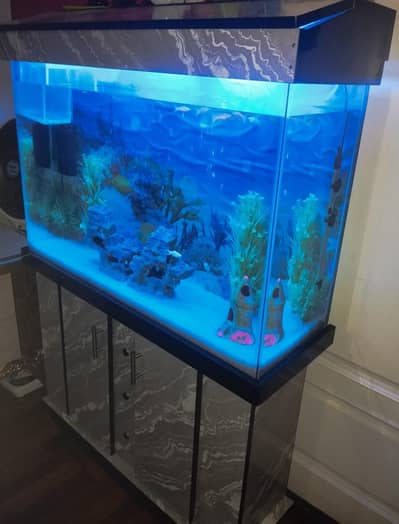 Fish Aquarium Beautiful Just Like New Condition Available For Sale