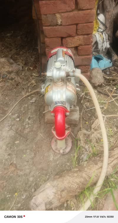 Double Ampeler asli Punjab 03436152558