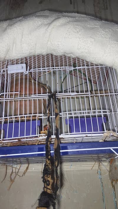 birds cage small size sy tora bara ha