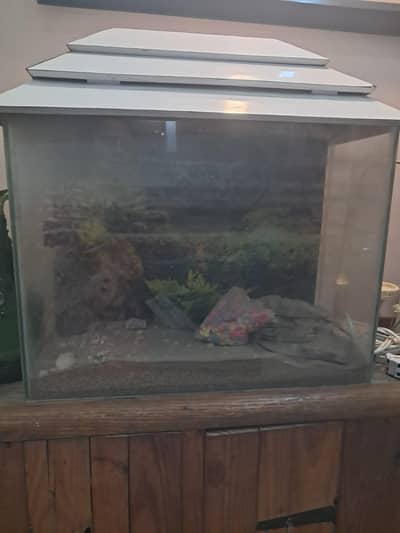 Aquarium for Urgent Sale