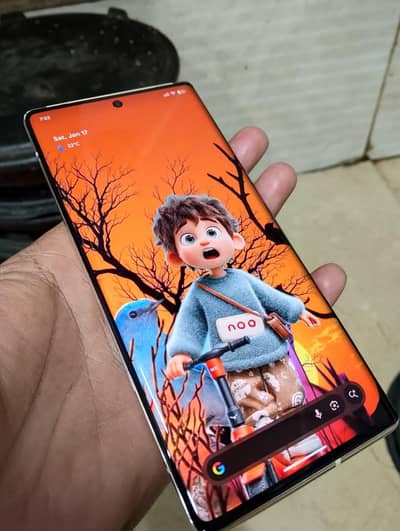 Google Pixel 6 Pro pTA Dual SiM