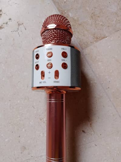 voice mic