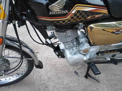 Fresh bike,, perfect ,